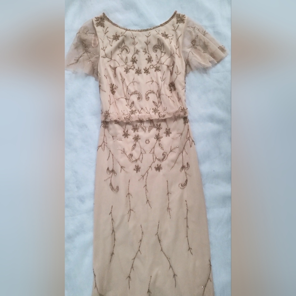 NWOT! Fall Boho Papell Studio Anthro Formal Women's Beaded Maxi Dress Small/4 - Picture 5 of 17